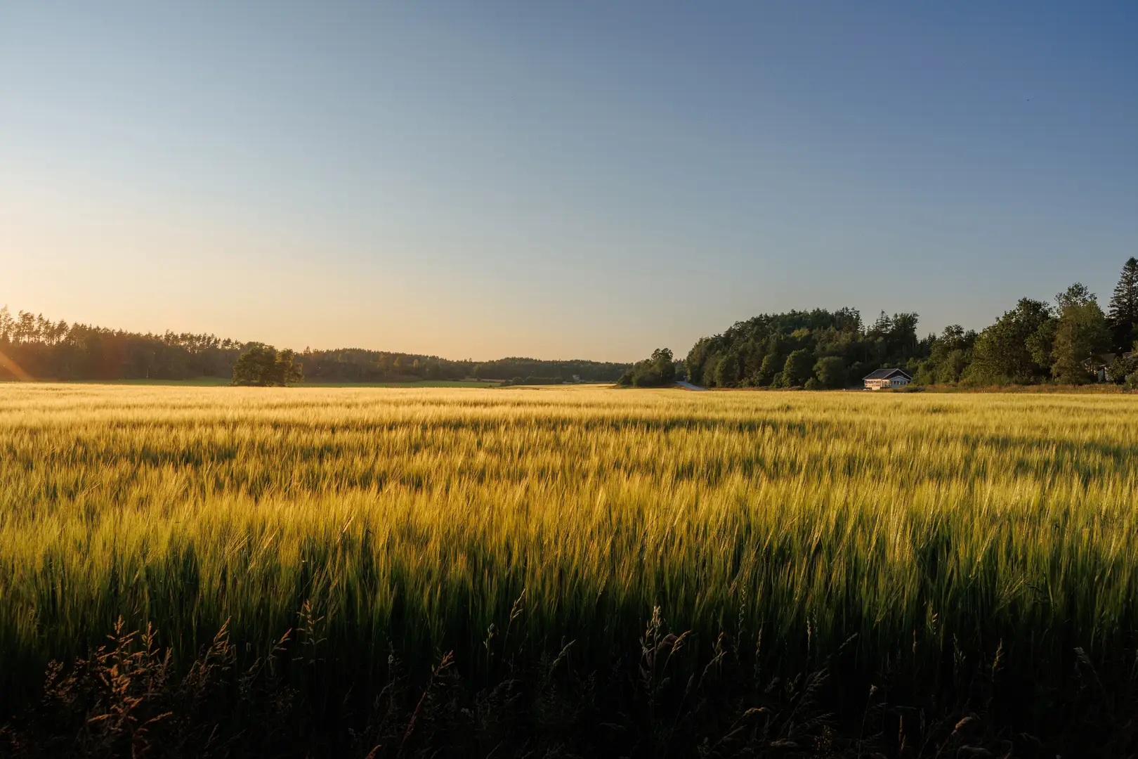 Specialister på ventilationsrengöring i Sverige